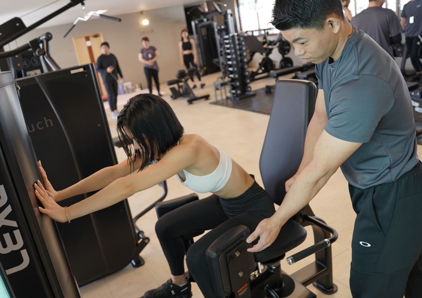 healthy & wellness cafe